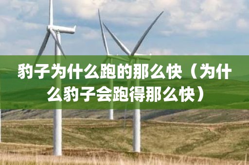 豹子为什么跑的那么快（为什么豹子会跑得那么快）