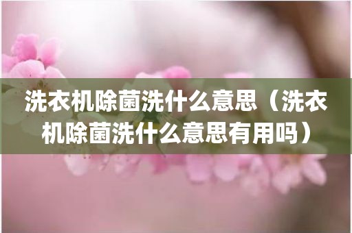 洗衣机除菌洗什么意思（洗衣机除菌洗什么意思有用吗）