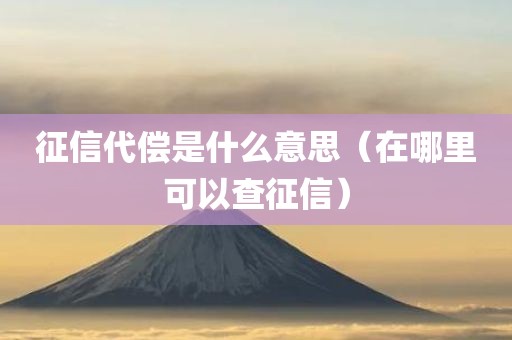 征信代偿是什么意思（在哪里可以查征信）