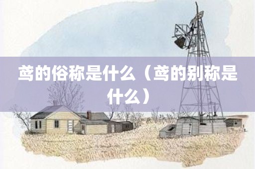 鸢的俗称是什么（鸢的别称是什么）