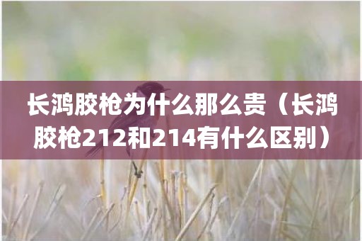 长鸿胶枪为什么那么贵（长鸿胶枪212和214有什么区别）