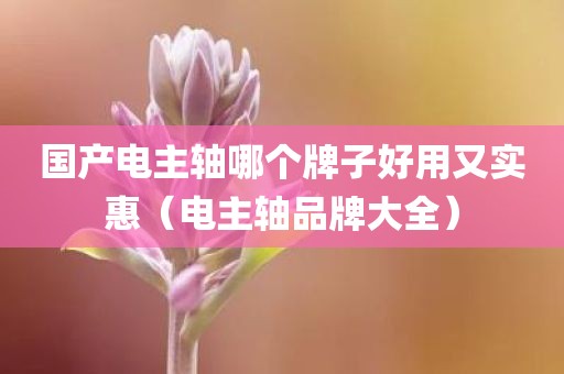 国产电主轴哪个牌子好用又实惠（电主轴品牌大全）