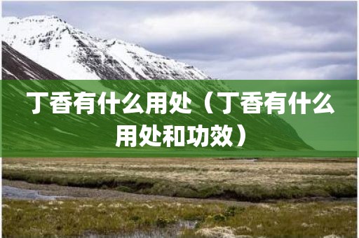 丁香有什么用处（丁香有什么用处和功效）