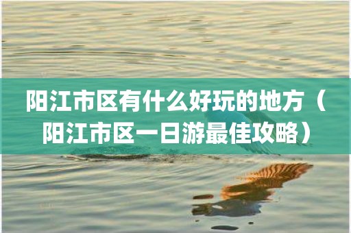 阳江市区有什么好玩的地方（阳江市区一日游最佳攻略）