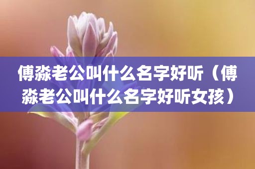 傅淼老公叫什么名字好听（傅淼老公叫什么名字好听女孩）