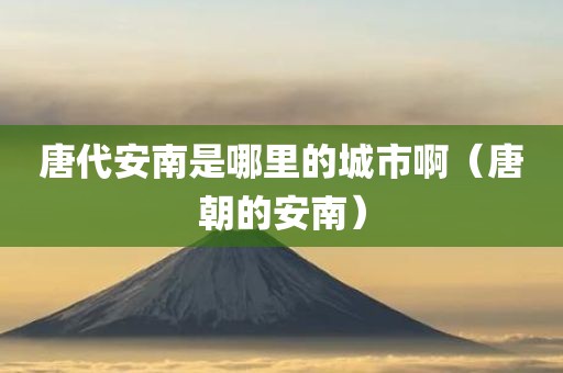 唐代安南是哪里的城市啊（唐朝的安南）