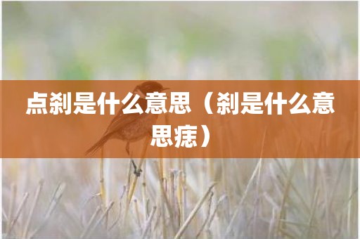 点刹是什么意思（刹是什么意思痣）