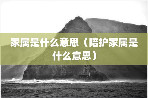 家属是什么意思（陪护家属是什么意思）