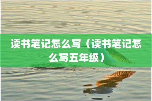 读书笔记怎么写（读书笔记怎么写五年级）