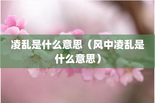 凌乱是什么意思（风中凌乱是什么意思）