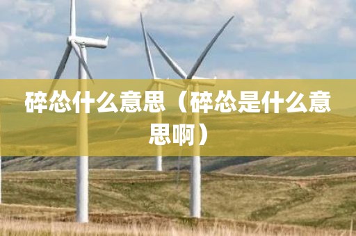 碎怂什么意思（碎怂是什么意思啊）