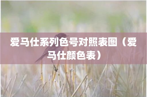 爱马仕系列色号对照表图（爱马仕颜色表）