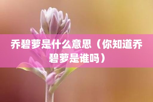 乔碧萝是什么意思（你知道乔碧萝是谁吗）