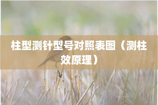 柱型测针型号对照表图（测柱效原理）