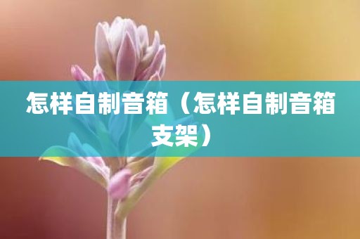 怎样自制音箱（怎样自制音箱支架）