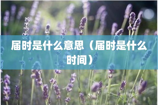届时是什么意思（届时是什么时间）