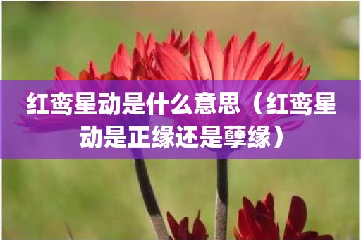 红鸾星动是什么意思（红鸾星动是正缘还是孽缘）