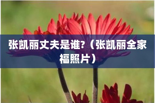 张凯丽丈夫是谁?（张凯丽全家福照片）