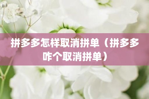 拼多多怎样取消拼单（拼多多咋个取消拼单）