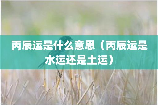 丙辰运是什么意思（丙辰运是水运还是土运）