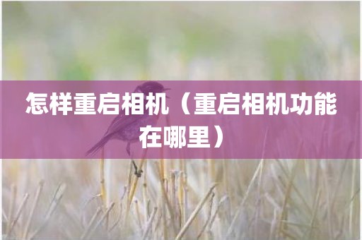怎样重启相机（重启相机功能在哪里）