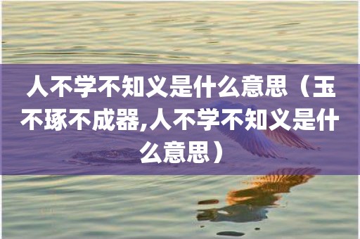 人不学不知义是什么意思(玉不琢不成器,人不学不知义是什么意思)