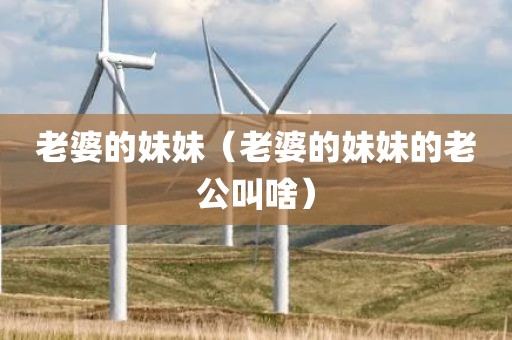 老婆的妹妹（老婆的妹妹的老公叫啥）