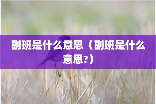 副班是什么意思（副班是什么意思?）