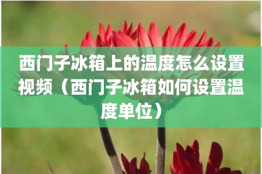 西门子冰箱上的温度怎么设置视频（西门子冰箱如何设置温度单位）