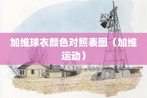 加维球衣颜色对照表图（加维运动）
