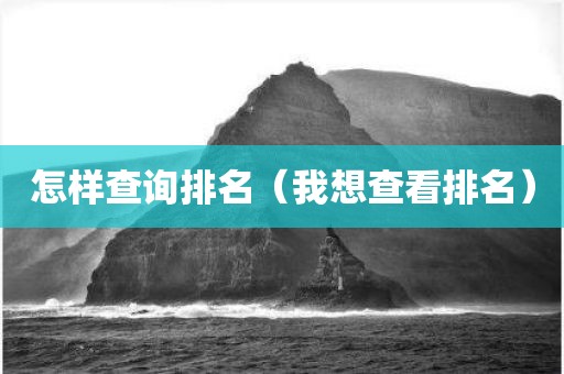 怎样查询排名（我想查看排名）