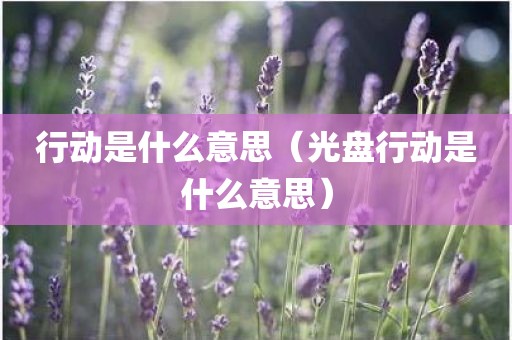 行动是什么意思（光盘行动是什么意思）