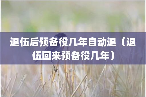 退伍后预备役几年自动退（退伍回来预备役几年）