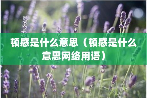 顿感是什么意思（顿感是什么意思网络用语）