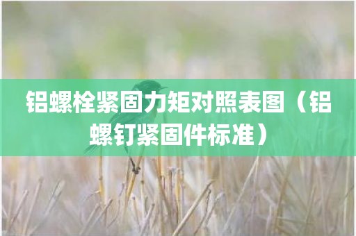 铝螺栓紧固力矩对照表图（铝螺钉紧固件标准）
