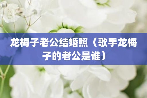 龙梅子老公结婚照（歌手龙梅子的老公是谁）
