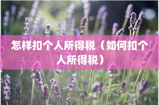 怎样扣个人所得税（如何扣个人所得税）
