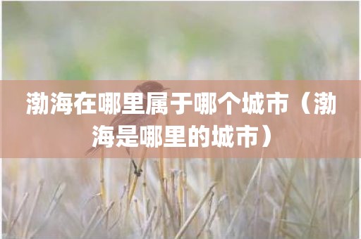渤海在哪里属于哪个城市（渤海是哪里的城市）
