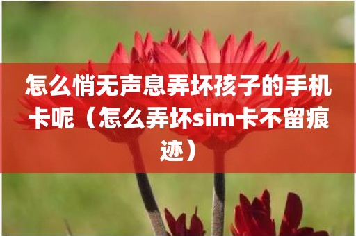 怎么悄无声息弄坏孩子的手机卡呢（怎么弄坏sim卡不留痕迹）