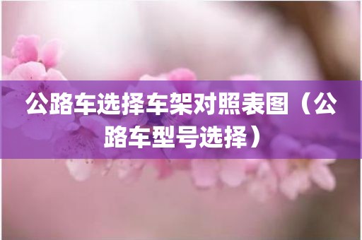 公路车选择车架对照表图（公路车型号选择）