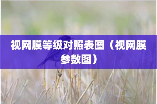 视网膜等级对照表图（视网膜参数图）