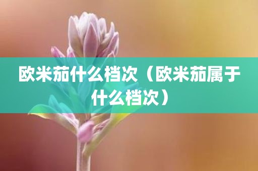 欧米茄什么档次（欧米茄属于什么档次）