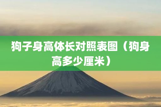 狗子身高体长对照表图（狗身高多少厘米）