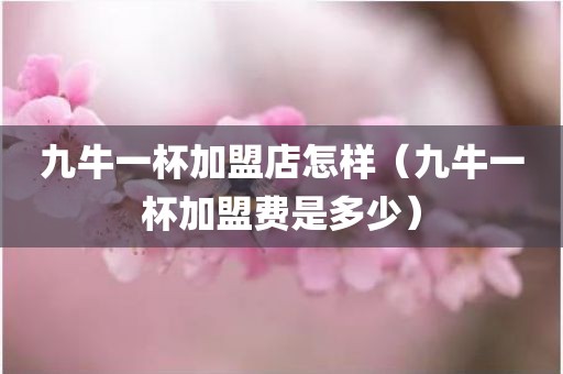 九牛一杯加盟店怎样（九牛一杯加盟费是多少）