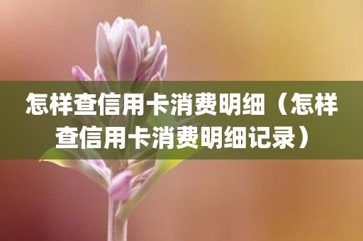 怎样查信用卡消费明细（怎样查信用卡消费明细记录）