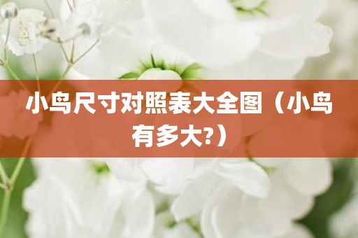 小鸟尺寸对照表大全图（小鸟有多大?）