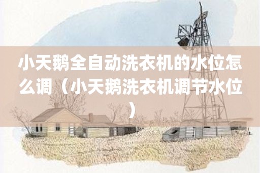 小天鹅全自动洗衣机的水位怎么调（小天鹅洗衣机调节水位）