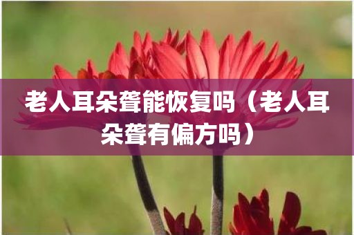 老人耳朵聋能恢复吗（老人耳朵聋有偏方吗）
