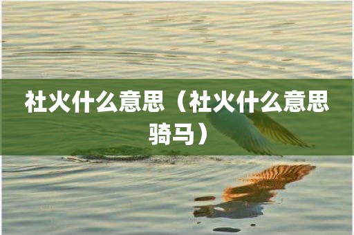 社火什么意思（社火什么意思骑马）