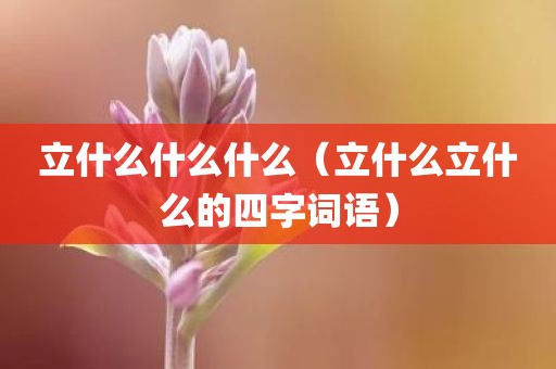 立什么什么什么（立什么立什么的四字词语）